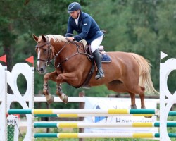 Springpferd Qualita Bestia (Finnisches Warmblut, 2010, von Quasto 144 FIN)