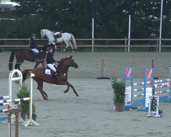 Reitturnier Scharnebeck 2024