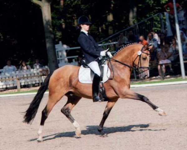 dressage horse FS Champion de Luxe (German Riding Pony, 1998, from FS Cocky Dundee)