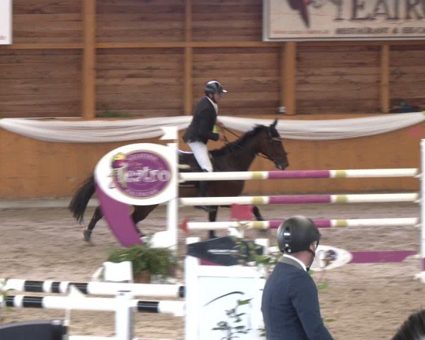 Reitturnier Xanten - Reitanlage Miss 2024
