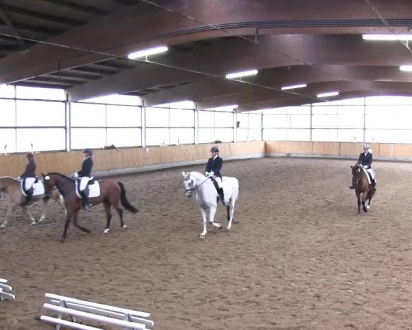Großes Reit- und Springturnier 2013 des RuF