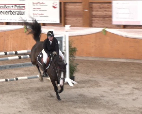Reitturnier Xanten - Reitanlage Miss 2024