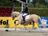 dressage horse Melli`s Jellymay (German Riding Pony, 2021, from Melli's Darmani)