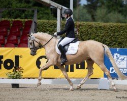 dressage horse Melli`s Jellymay (German Riding Pony, 2021, from Melli's Darmani)