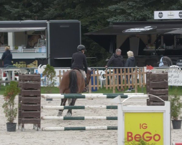 Reitturnier Pietzpuhl 2024