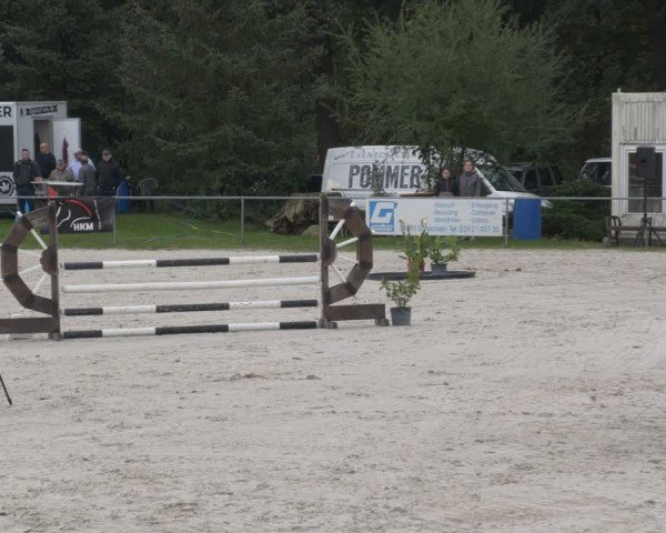 Reitturnier Pietzpuhl 2024