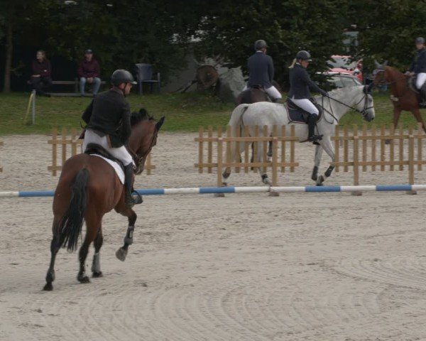 Reitturnier Pietzpuhl 2024