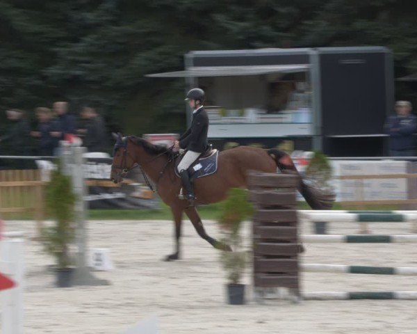 Reitturnier Pietzpuhl 2024