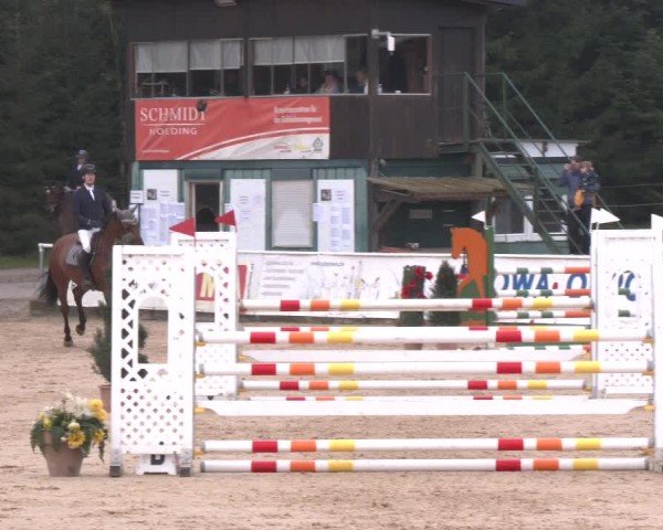 Reitturnier Ranshofen - Braunau am Inn 2024