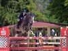 jumper Hofsommerkamp's Co-Pilot (Oldenburg show jumper, 2018, from Colman)