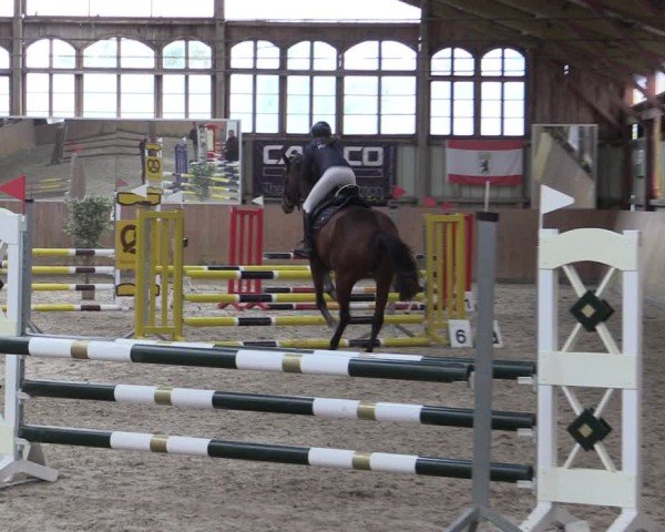 Reitturnier Elisenau 2024