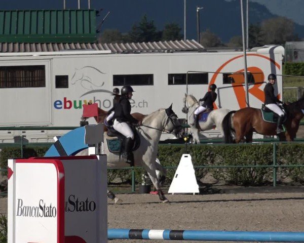 Reitturnier Giubiasco 2024