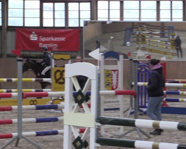 Reitturnier Elisenau 2024