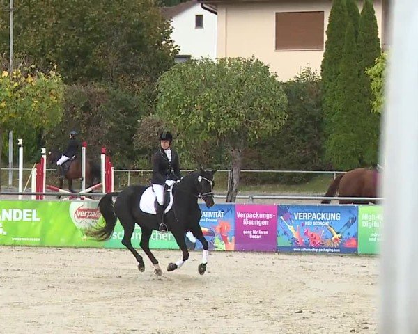 Reitturnier Frankenhof-Sonnefeld/Ofr. 2024