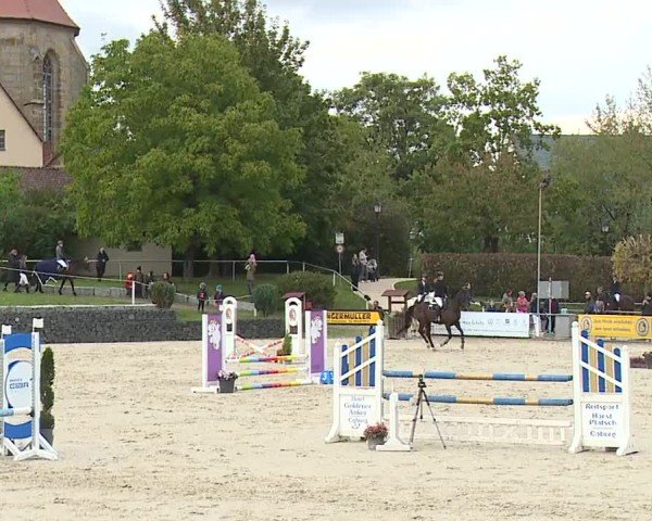 Reitturnier Frankenhof-Sonnefeld/Ofr. 2024