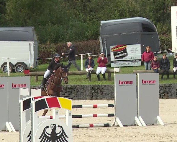 Reitturnier Frankenhof-Sonnefeld/Ofr. 2024