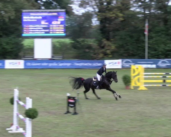 Reitturnier Scharnebeck 2024