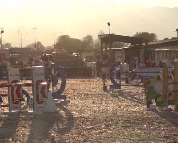 Reitturnier Giubiasco 2024