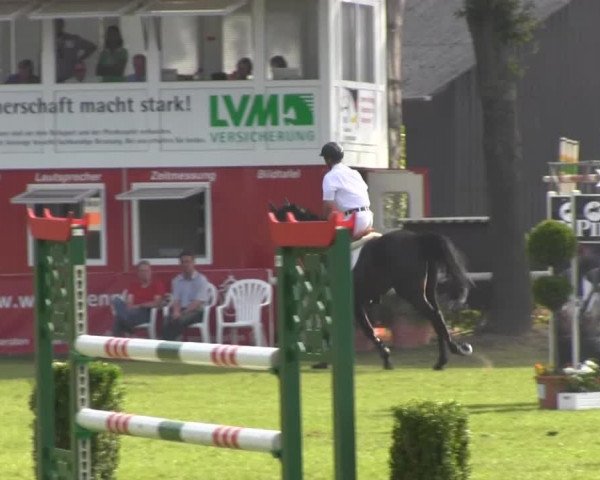 Westfalen-Woche 2013