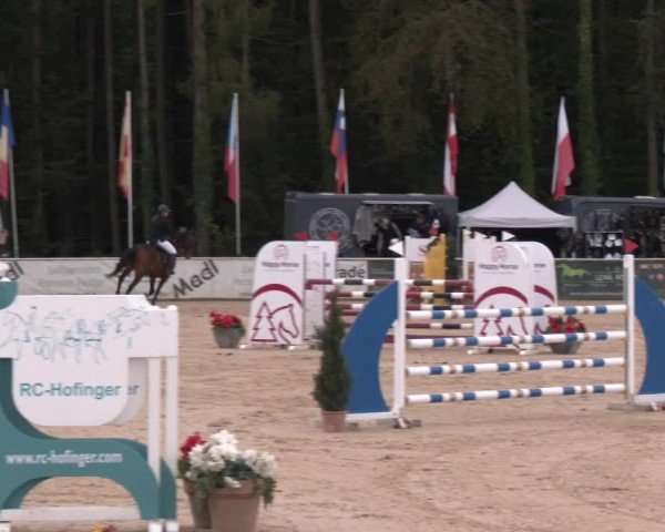 Reitturnier Ranshofen - Braunau am Inn 2024