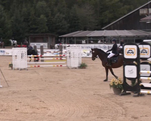 Reitturnier Ranshofen - Braunau am Inn 2024