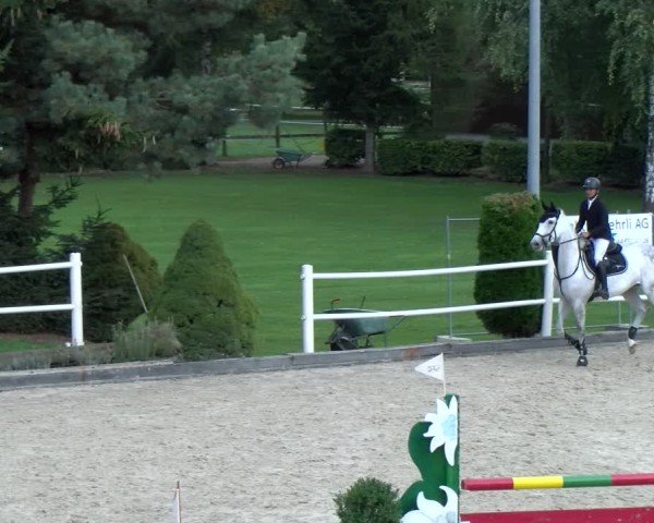 Reitturnier Dielsdorf 2024