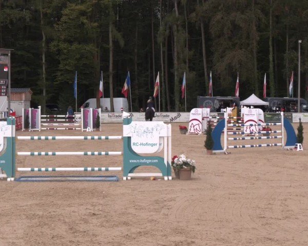 Reitturnier Ranshofen - Braunau am Inn 2024