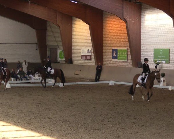 Reitturnier Kamen 2024