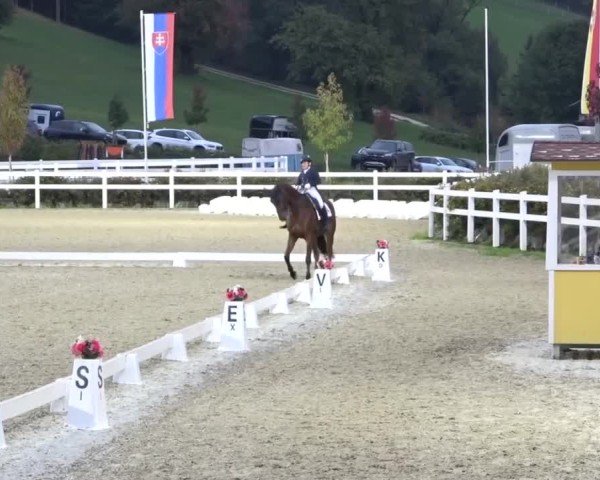 Reitturnier St. Margarethen 2024
