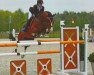 jumper Cleostrade (Nederlands Rijpaarden en Pony, 2007, from Ginus)