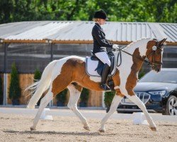 dressage horse Inouk (unknown, 2003, from Intschuschuna)