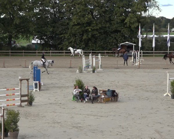 Reitturnier Scharnebeck 2024
