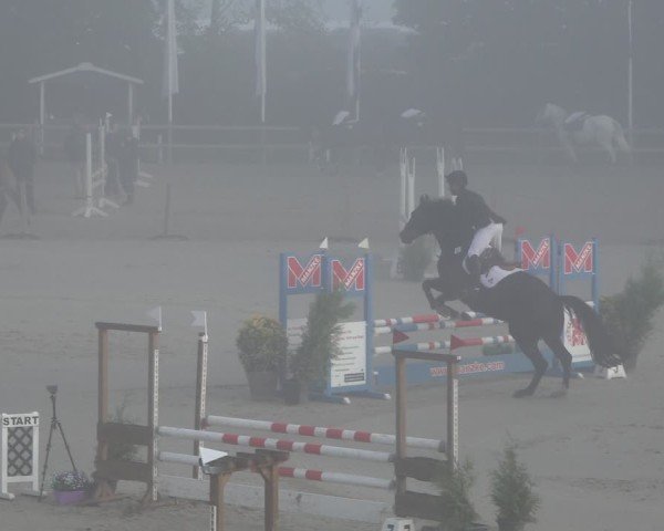 Reitturnier Scharnebeck 2024