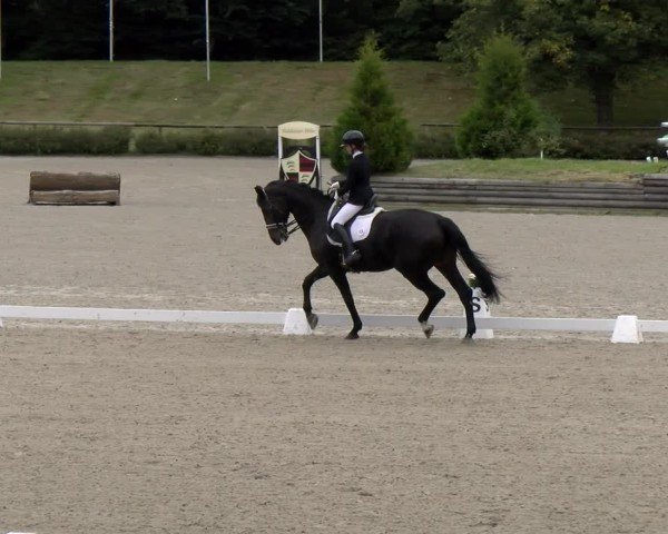 Reitturnier Tübingen 2024