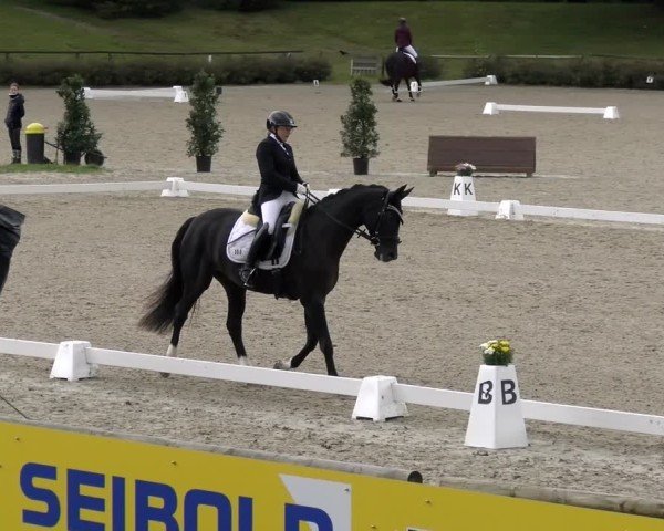 Reitturnier Tübingen 2024