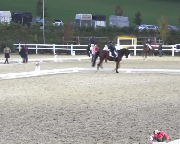 Reitturnier St. Margarethen 2024