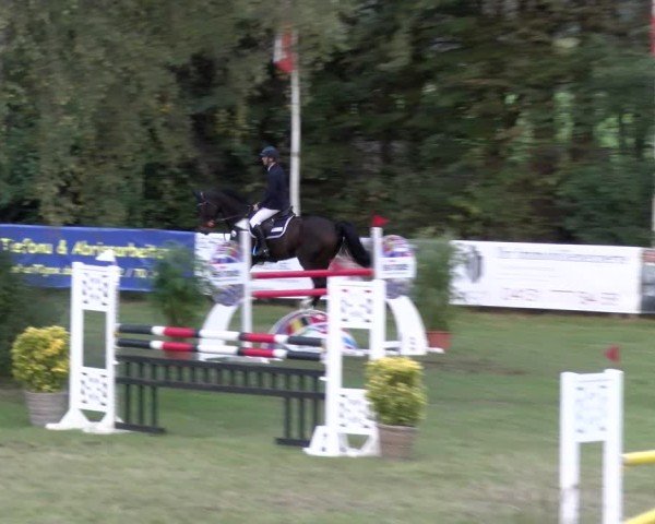 Reitturnier Scharnebeck 2024