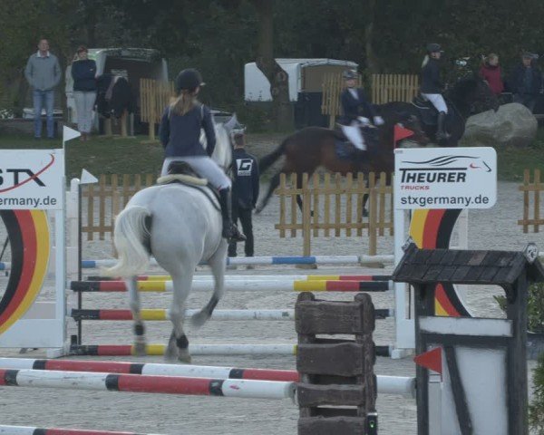 Reitturnier Pietzpuhl 2024