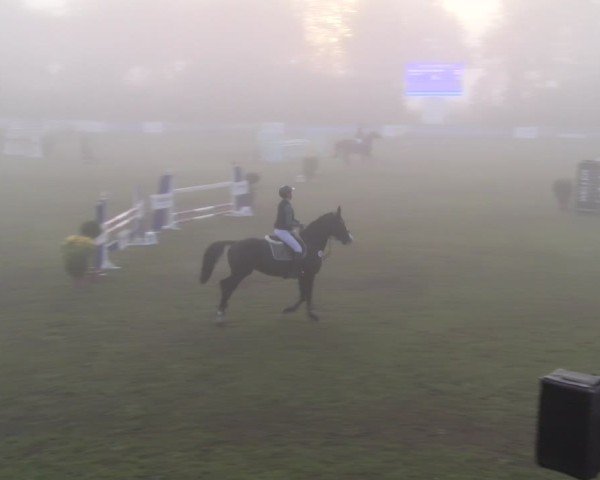 Reitturnier Scharnebeck 2024