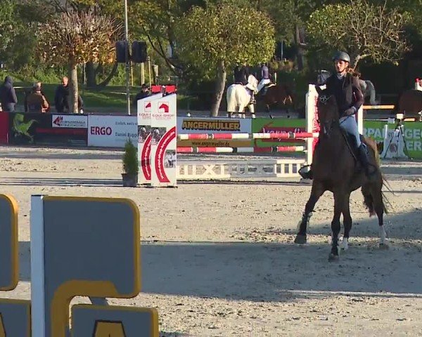 Reitturnier Frankenhof-Sonnefeld/Ofr. 2024