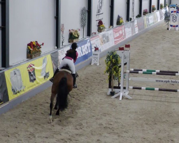 Reitturnier Borken 2024