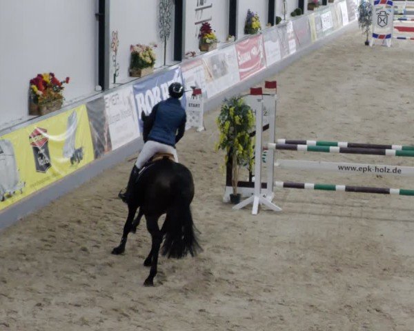 Reitturnier Borken 2024