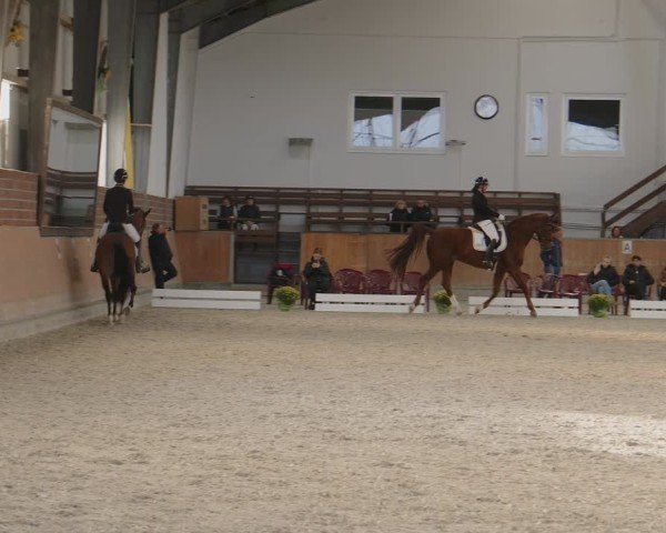 Reitturnier Frechen-Grefrath - Sonnenhof 2024