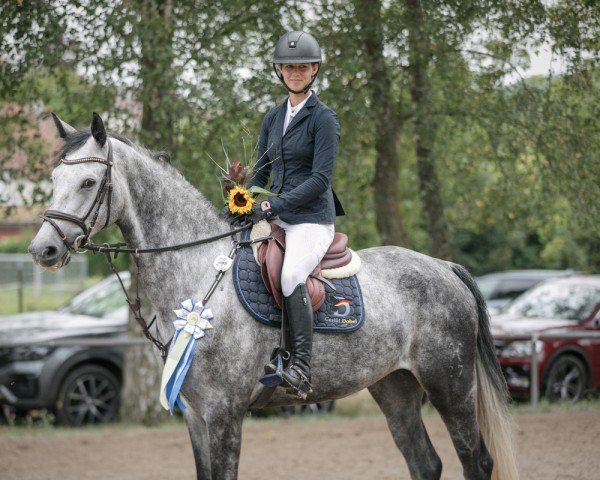 jumper Don El Chapo (Hanoverian, 2018, from Diacontinus)