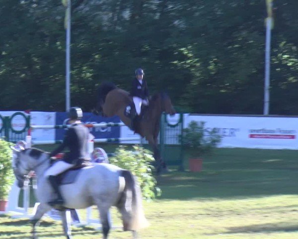 Reitturnier Scharnebeck 2024