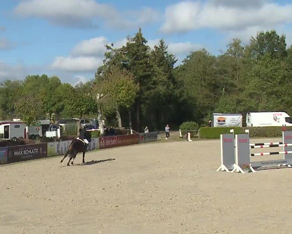 Reitturnier Frankenhof-Sonnefeld/Ofr. 2024