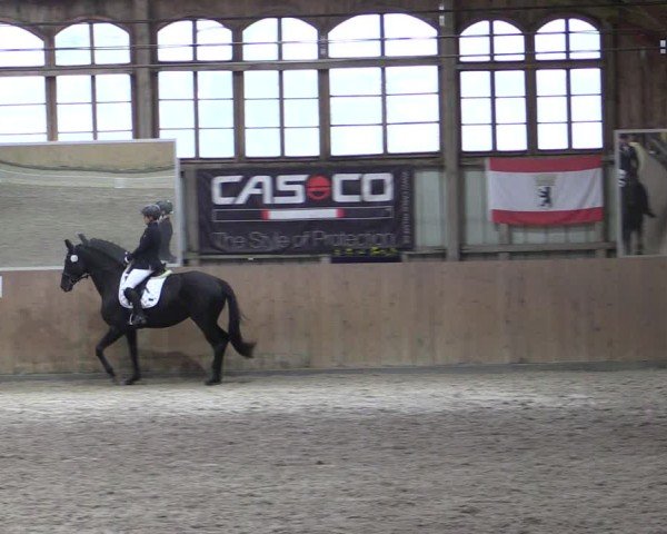 Reitturnier Elisenau 2024