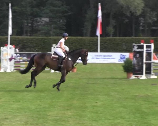 Westfalen-Woche 2013