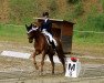 dressage horse Romanoff 22 (Württemberger, 2003, from Ricordo di Leny)