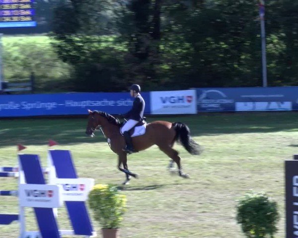 Reitturnier Scharnebeck 2024